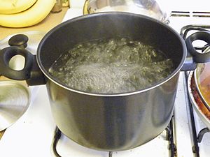 boiling water עברית: מים רותים